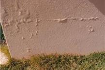 תמונה שצולמה להמחשת העבודות של הדס ביקורת מבנים - 2 בדיקות רטיבות