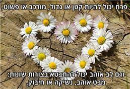 תמונה שצולמה להמחשת העבודות של פנינה בליץ-מטפלת זוגית ומשפחתית תמונה של פנינה בליץ-מטפלת זוגית ומשפחתית