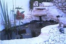 עיצוב גינות נוי ומים