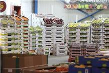 סיטונאי פירות וירקות בחיפה