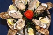 תמונה של דולפין