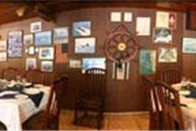 תמונה של דולפין