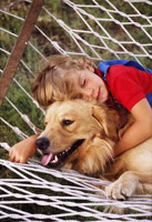 חיסוני שגרה 