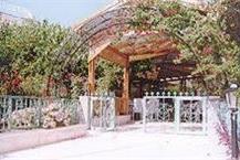 מסעדה באבו גוש