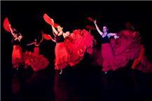 תמונה שצולמה להמחשת העבודות של רותינע בית ספר לתנועה ומחול - 1 ריקודי פלמנקו