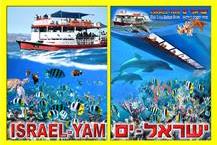 תמונה שצולמה להמחשת העבודות של ישראל-ים - ספינות הזכוכית - 3 תמונה של ישראל-ים - ספינות הזכוכית