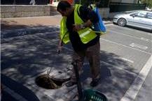 תמונה שצולמה להמחשת העבודות של א.ב. שרותי הדברה וחיטוי - 1 שירותי הדברה