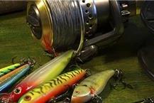 חנות חיות בקריית גת