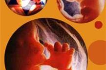 תמונה שצולמה להמחשת העבודות של לילך מרכז מידע וסיוע לנשים ונערות בהריון בלתי צפוי הריון ולידה