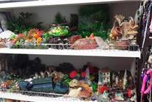 תמונה שצולמה להמחשת העבודות של חיות המילניום דגים ואקווריומים