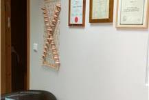 יועצת מס מוסמכת