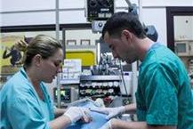 תמונה שצולמה להמחשת העבודות של ד"ר גולדשטיין מירב, וטרינרית מרפאה וטרינרית בקרית אתא