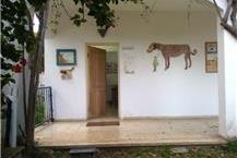 תמונה שצולמה להמחשת העבודות של וט פט מרפאה וטרינרית