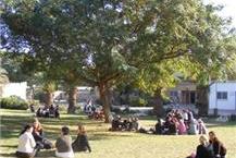 תמונה של מכללת חמדת הדרום