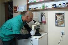 תמונה שצולמה להמחשת העבודות של ד"ר עזר משה-וטרינר רופאים וטרינרים