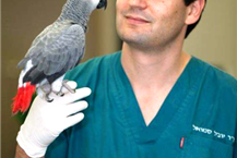 מרפאה וטרינרית בכפר סבא