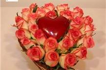 תמונה שצולמה להמחשת העבודות של משתלת על הדרך - 2 עציצים