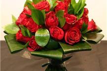 תמונה שצולמה להמחשת העבודות של משתלת על הדרך - 1 אביזרים לגננים