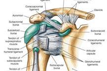 כירורגיה של הכתף
