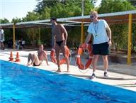 קורסים והשתלמויות