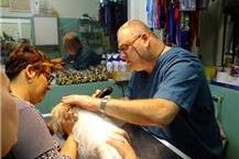 תמונה של ד"ר גולדמן זהר-"פט קליניק"