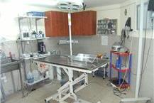 תמונה שצולמה להמחשת העבודות של מרכז וטרינרי קרית שרת - 1 מרפאה וטרינרית