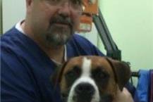 רופאים וטרינרים