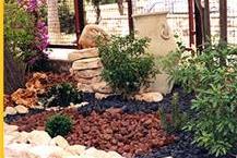 תמונה שצולמה להמחשת העבודות של הגנן האולטימטיבי שלך בריכות נוי