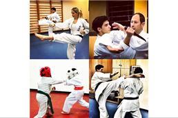 תמונה שצולמה להמחשת העבודות של טאי שין קאן קראטה אוקינאווי תמונה של טאי שין קאן קראטה אוקינאווי