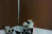 ליווי ותמיכה במהלך טיפולי פוריות