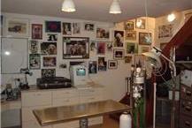 תמונה שצולמה להמחשת העבודות של ד"ר לוי דן מרפאה לחיות מחמד