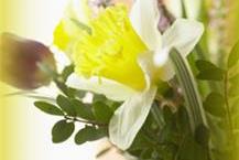 משלוח פרחים