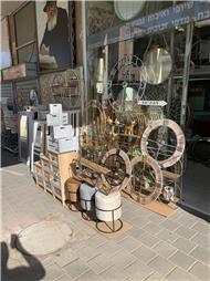 תמונה של הגלריה של אבי