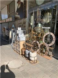 תמונה של הגלריה של אבי