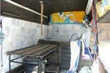 תמונה שצולמה להמחשת העבודות של ספא דוג - מספרה ניידת לכלבים - 3 ספא לחיות מחמד