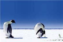 תמונה שצולמה להמחשת העבודות של חום קור-קירור מיזוג אוויר תמונה של חום קור-קירור מיזוג אוויר