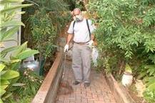 תמונה שצולמה להמחשת העבודות של רם-אור הדברה-רמי קלדרון הדברה לתעשייה