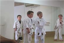 אומנויות לחימה למקצוענים