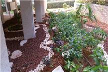 תמונה שצולמה להמחשת העבודות של תמיר גינון היופי שבטבע תמונה של תמיר גינון היופי שבטבע