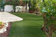 תמונה שצולמה להמחשת העבודות של תמיר גינון היופי שבטבע תמונה של תמיר גינון היופי שבטבע