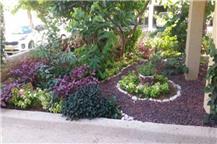 תמונה שצולמה להמחשת העבודות של תמיר גינון היופי שבטבע תמונה של תמיר גינון היופי שבטבע