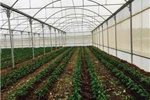 תמונה שצולמה להמחשת העבודות של א. חממות באקה בע"מ מנהרות פונקציונאליות