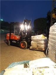 תמונה של משתלת אמונה גינון ועיצוב גינות