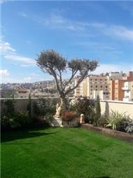 תמונה של משתלת אמונה גינון ועיצוב גינות