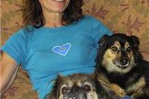 בית מלון לבעלי חיים