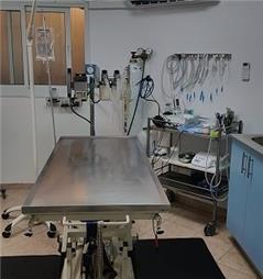 תמונה שצולמה להמחשת העבודות של ד"ר דויד קפלון תמונה של ד"ר דויד קפלון