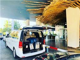 תמונה של מוניות הכוהנים