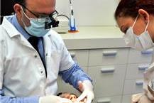 תמונה של ד"ר פנחס שמעונוב- רופא שיניים