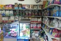 תמונה שצולמה להמחשת העבודות של סי סנטר בע"מ חנות חיות בבת ים