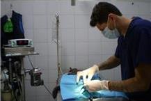 תמונה שצולמה להמחשת העבודות של ד"ר שרון דנון שירותי אשפוז